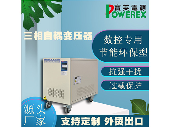 30KVA three-phase dry Autotransformer for injection